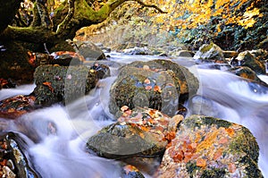 Bright waterscape of fast rocky river