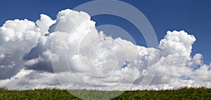 Bright white clouds build against a deep blue sky and rise over a grassy hill.