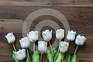 Fake tulips and on wood background.