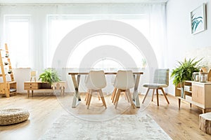 Bright window in dining room