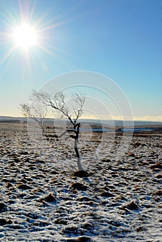 Bright Winter in Derbyshire