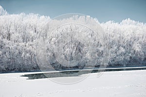 Bright winter forest and river with snow, beautiful wild landscape with trees and glade