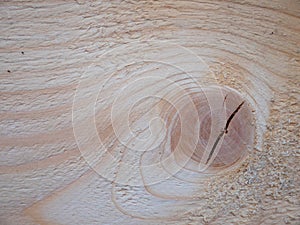 Bright wood texture. Texture background. Plank with knot