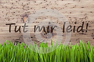 Bright Wooden Background, Gras, Tut Mir Leid Means Sorry photo