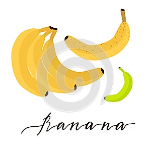 Bright yellow banana isolated icon. Fresh tropical fruit for farm market