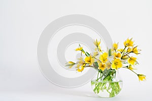 Bright yellow big sunflowers in glass vase on dark table on light texture background. Mockup banner with sunflower