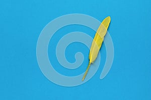 Bright yellow bird feather on a blue background. Minimal concept