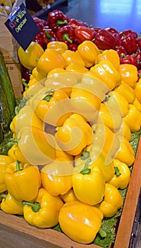 Bright Yellow Capsicum with Red ones in the Background