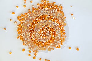 Bright yellow corn kernels scattered on a white surface