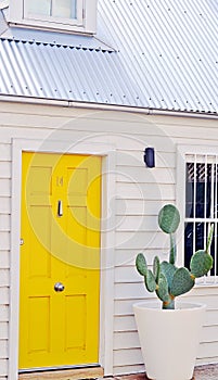 Bright yellow door and big cactus plant near the house entrance