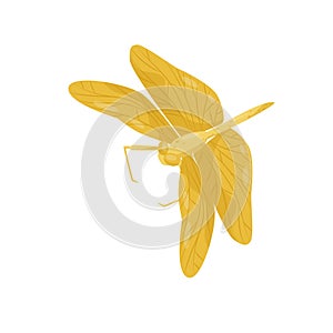 Bright yellow dragonfly with long body and two pairs of large wings. Small fast-flying insect. Flat vector design