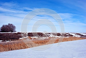 Bright yellow dry reeds on hills of river bank covered with snow, trees without leaves on horizon, blue cloudy sky