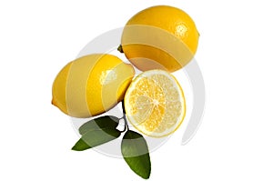 Bright yellow lemons half lemon and lemon leaves on white isolate background