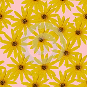 Bright yellow or light orange flowers on a pink background. Seamless flowers pattern