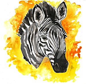 Zebra element. A Zebra head. Bright yellow orange Zebra head element. Graphic animal print for home decoration or t-shirt. photo