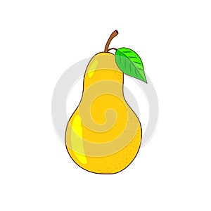 Bright yellow pear, hand-drawn