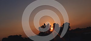 Bright yellow rays from sun behind trees