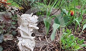 Bright yellow and red tulip behind white plaster fairy with other greens in spring garden bed