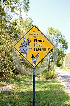 A sign with koalas, alerting drivers to take extra care when driving due to the presence of koalas photo