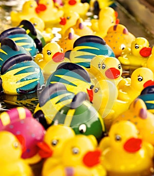 Bright Yellow Rubber Duckies and Color Fish Floating in a Stream of Water in a Carnival Game Booth