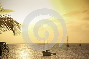 Bright yellow sunset with sailboats, Caye Caulker Belize