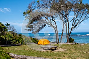 Bright yellow tent in a Great Ocean Walk.