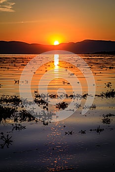 Bright yellow and vivid orange sunset reflecting on a rippled Lake Chapala in Ajijic Mexico