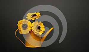 A bright yellow watering can with artificial flowers of a sunflower on a gray uniform background. Selective focus, copy