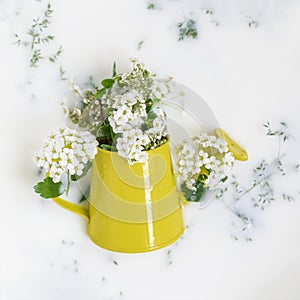 Bright yellow watering can with spring flowers and herbs in white liquid as a background