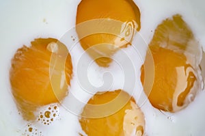 Bright yellow yolks in white milk. Spread the yolks on the white milk - making an omelet.