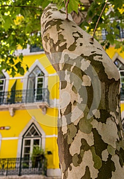 The brightly colored buildings in Portugal\'s capital city of Lisbon