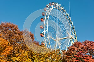 Brightly colored Ferris wheel against the blue sky and fall