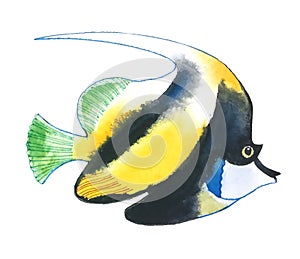 Brightly colored fish with orange stripes with a black outline