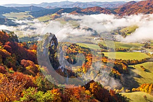 Brightly colored forests of mountain valley in the morning mist