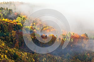 Pestrofarebné lesy horského údolia v rannej hmle