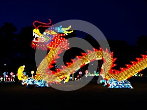 Dragon on waves at Chinese lantern festival