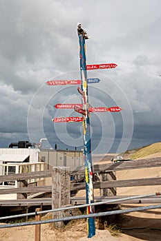 Brightly colored road signs on a wooden pole