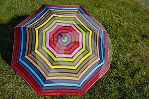 Brightly Colored Umbrella on Green Grass