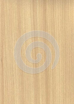 brightly colored wood grain texture finished with clear varnish