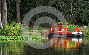 Brightly coloured canal boat, moored on River Wey, Surrey.