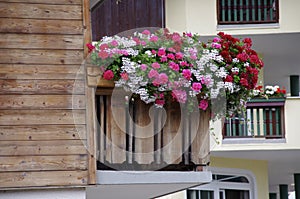 Brightly coloured flowers on the balcony of a typical Tyrolean house in Soll, Austria.