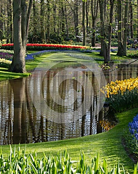 Brightly coloured tulips and daffodils by the lake at Keukenhof Gardens, Lisse, Netherlands. Keukenhof is known as the Garden of