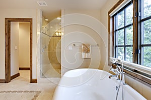 Brightly Lit Bath Tub and Shower Area