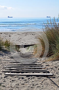 Brighton Beach, Christchurch New Zealand