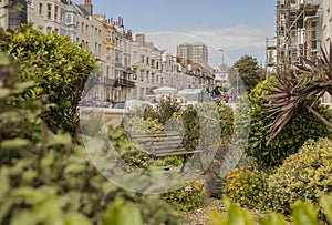 Brighton - the city, a garden with a bench.