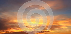 Brighton pier sunset beach pebbles  water sea lonely bird