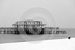 Brighton west pier covered in snow