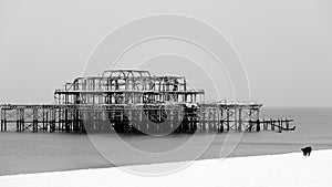 Brighton west pier covered in snow