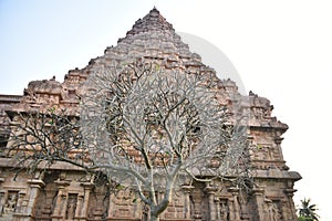 Brihadisvara Temple, Gangaikonda Cholapuram, Tamil Nadu