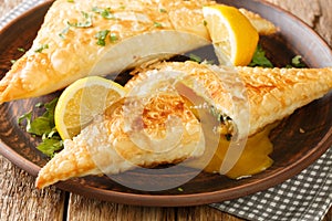 Brik or burek is the north African version of borek, a stuffed filo pastry which is commonly deep fried close up in the plate.